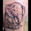 Elefant