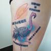 Flamingo