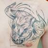 Stier