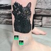 Black cat🥰