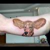 Hund frisch