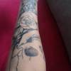 Rose mit Totenkopf
