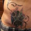 Pfote/Cover up