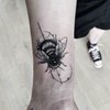 Hummel
