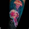 Jelly fishes