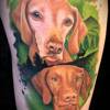 Wischler 2 Jagdhunde