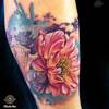 Flower of Paradise