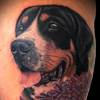 Rottweiler Hera