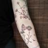 Fineline Wildblumen und Schmetterling
