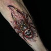 Death Spider