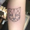 Geometric Cat